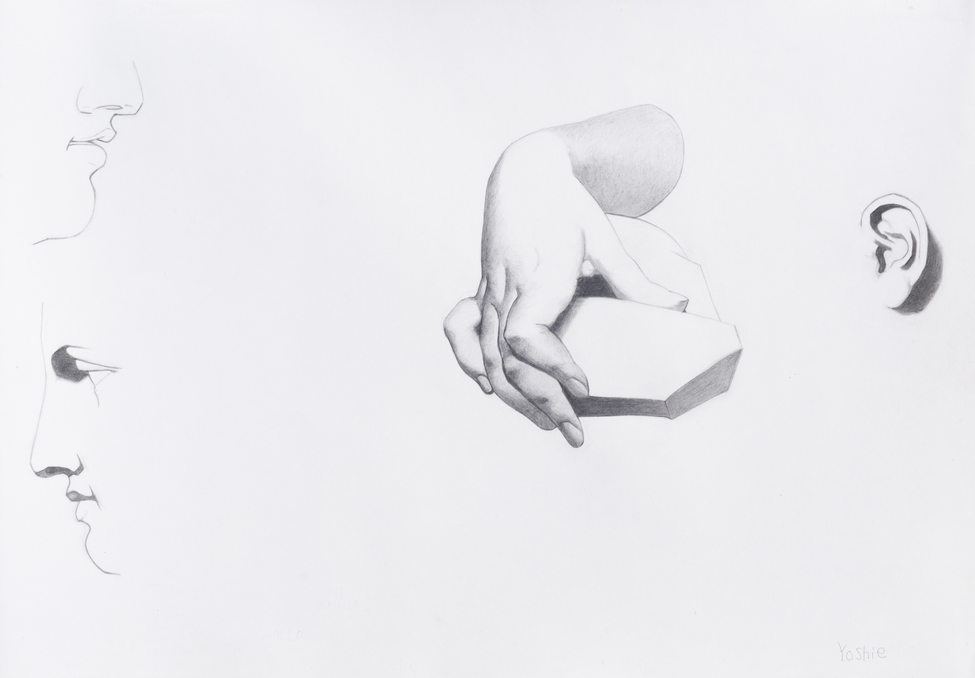 Bargues – Student Work