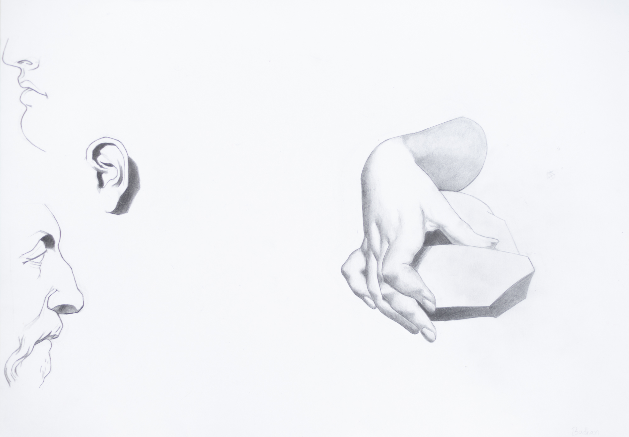 Bargues – Student Work