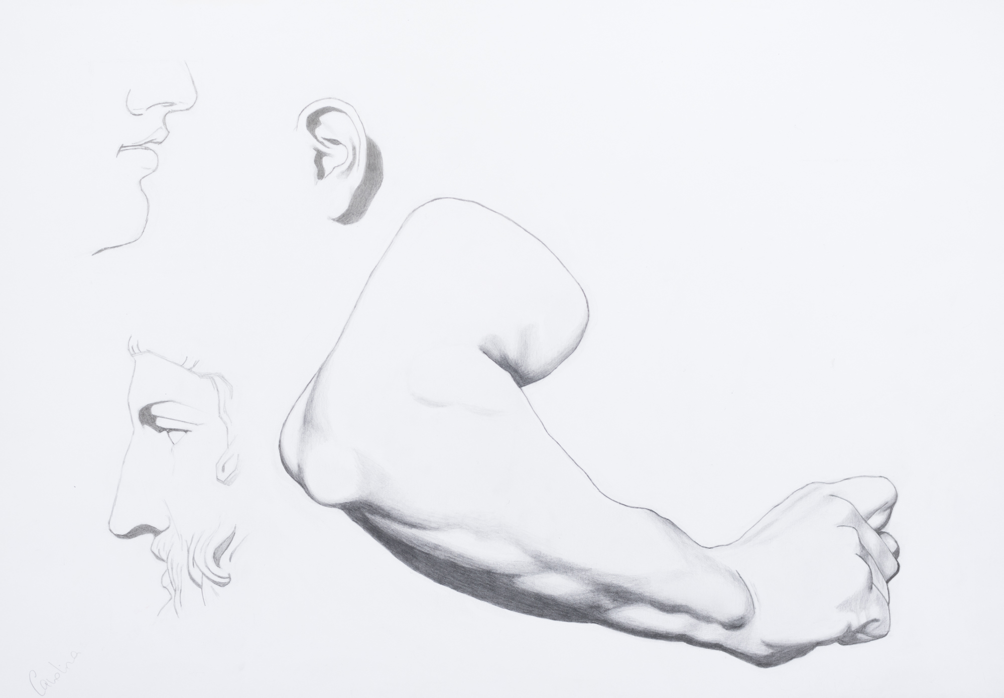Bargues – Student Work