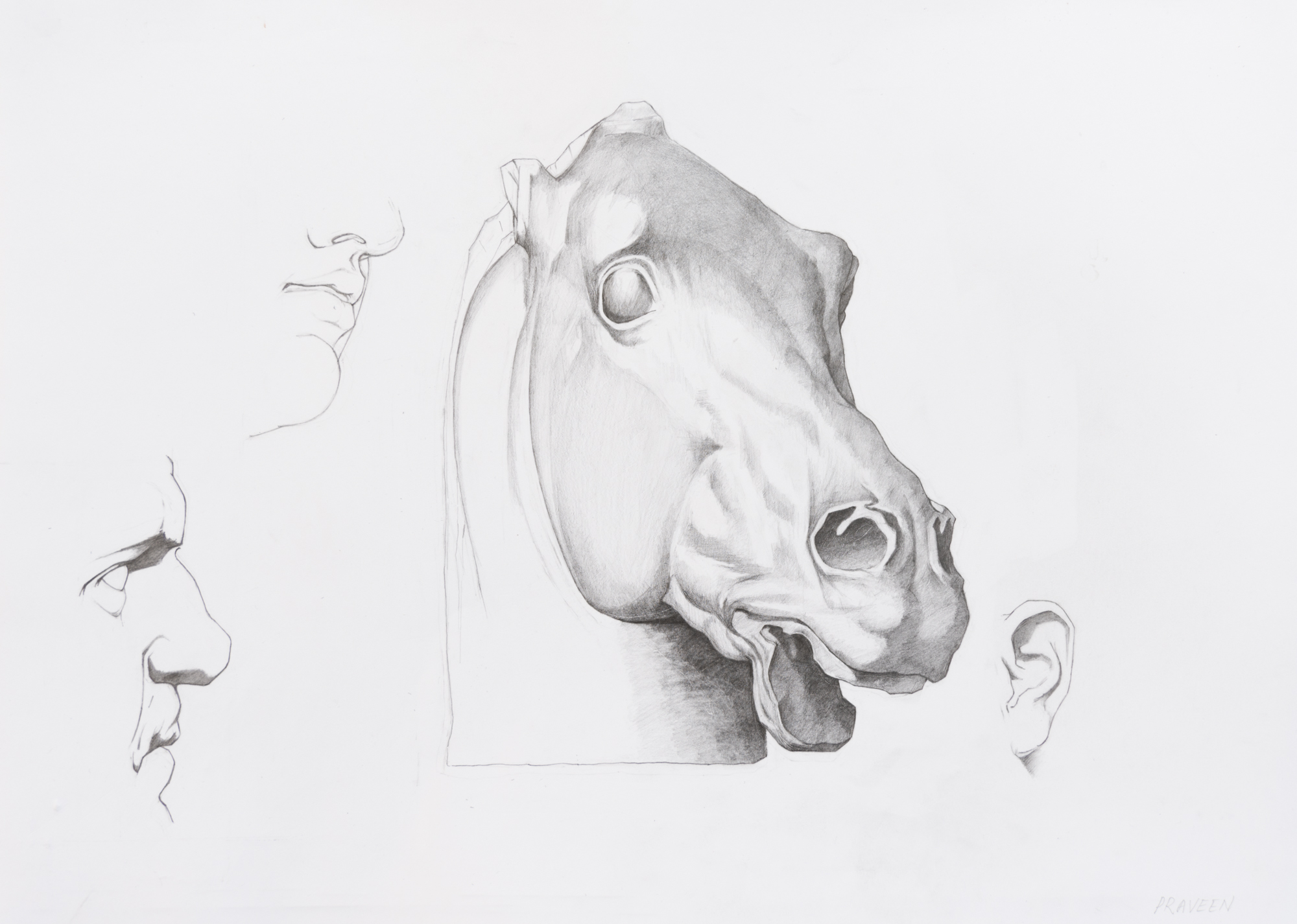 Bargues – Student Work