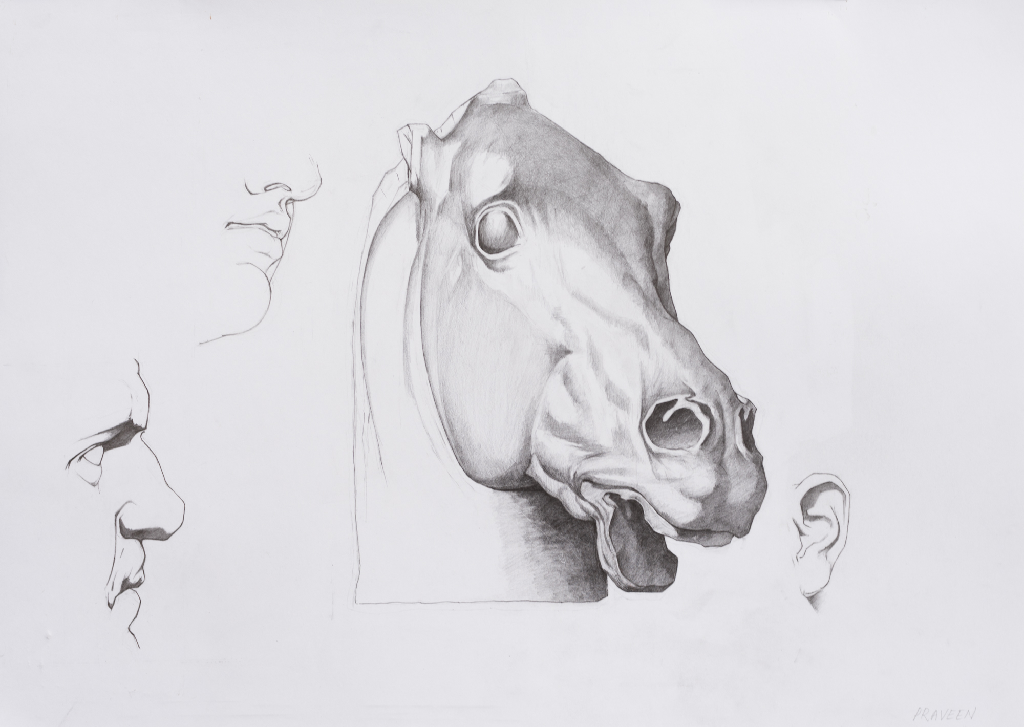 Bargues – Student Work