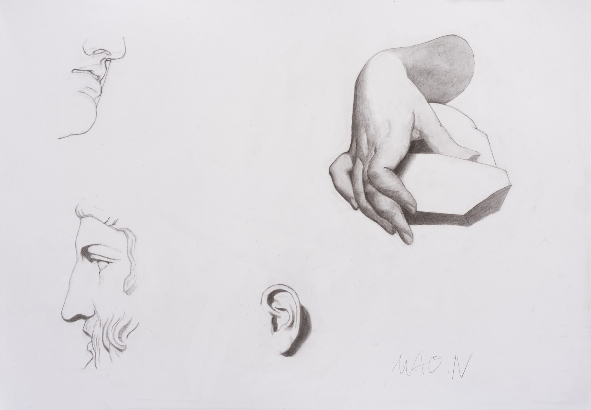 Bargues – Student Work