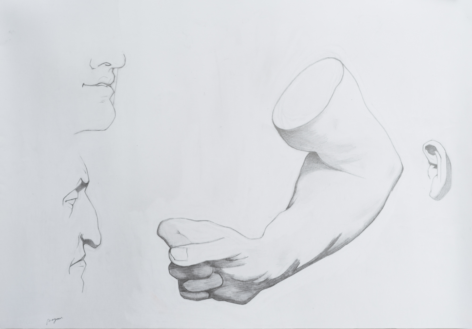 Bargues – Student Work