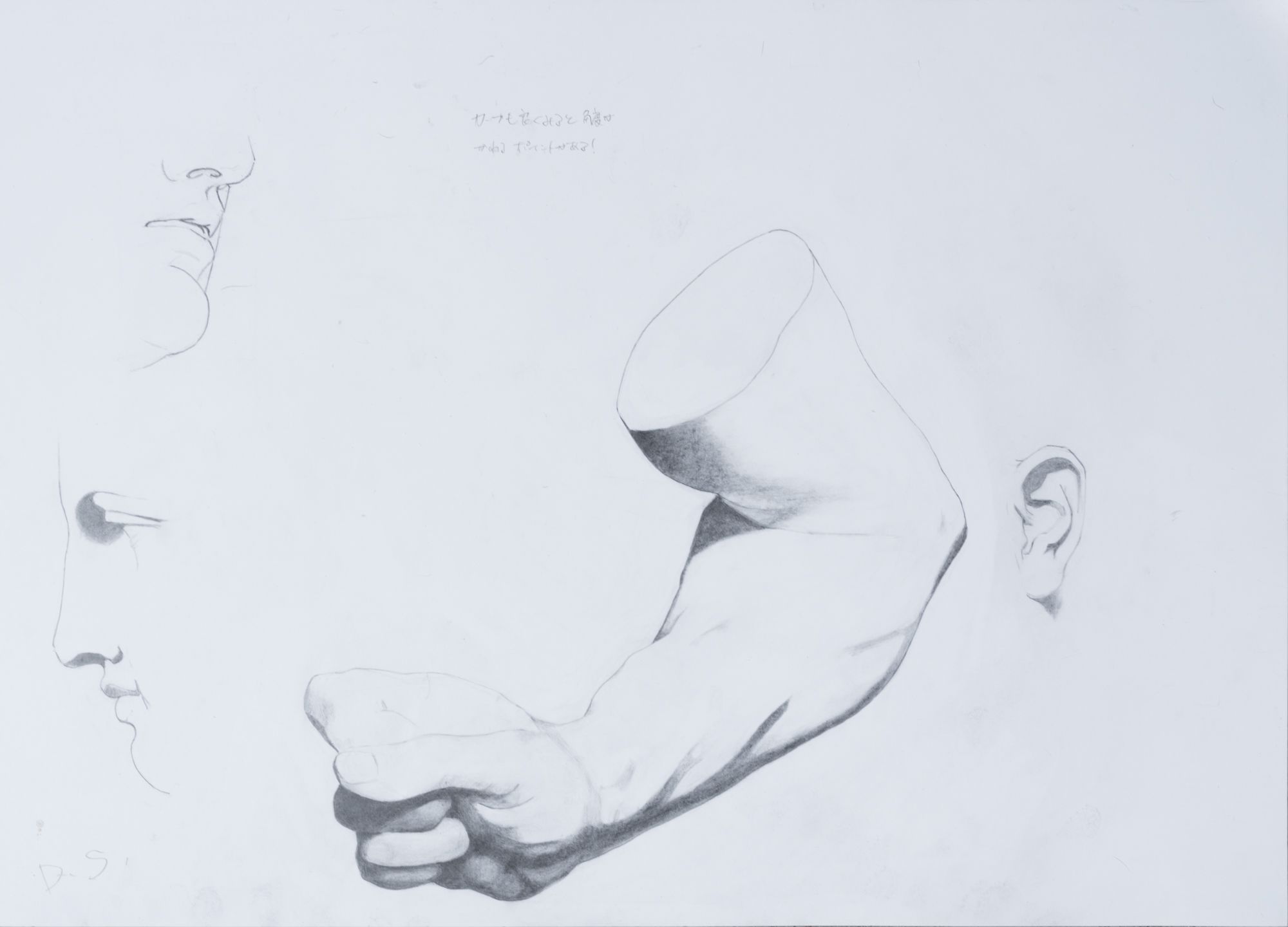 Bargues – Student Work