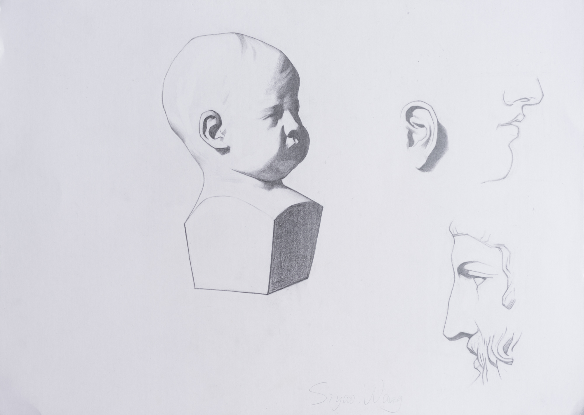 Bargues – Student Work
